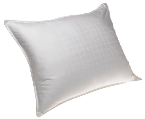 SleepBetter Beyond Down Gel Fiber Bed Pillow, Queen