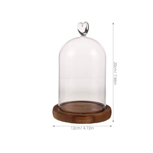 Cúpula de cristal para proteger flores del polvo con luz integrada 3