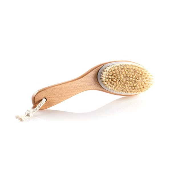 100% Natural Boar Bristle Body Brush with Contoured Wooden Handle by TOUCH ME - Image 5
