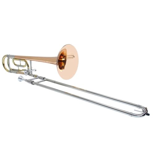 �e�i�[B�t���b�g���W���[�v���t�F�b�V���i���g�����{�[���y�� �g�����{�[��