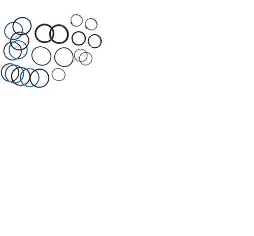 JLG 2901273 SEAL KIT