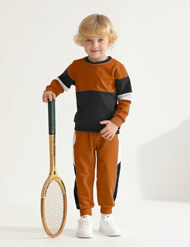 Image of Toddler Boy Clothes Long Sleeve Hoodie Sweatsuits Tops and Pants 2Pcs Boys Fall Winter Outfits Set