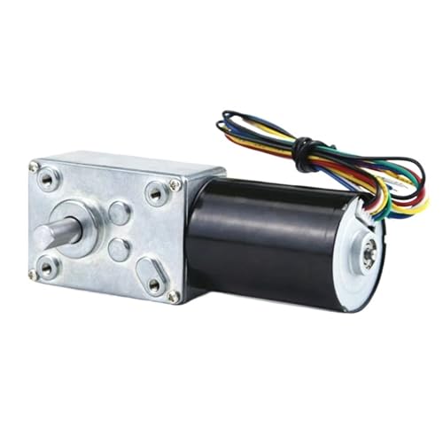 Moteur à engrenages à vis sans fin 5840-3650 CC 12V 16rpm
