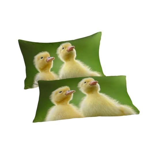 Housse de couette microfire double 200x200 fermeture éclair animaux