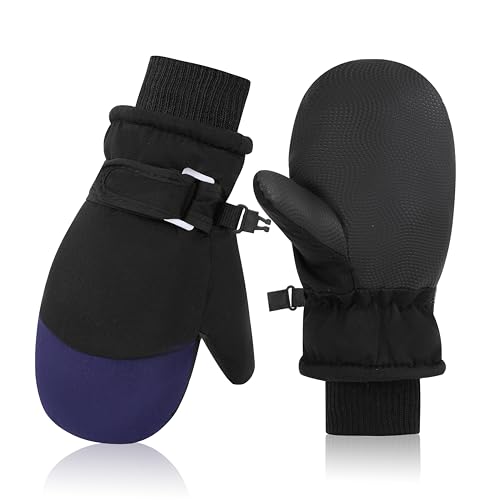 Sea Zaela LbY EB^[O[u c Xm[O[u h h ~g t[X AEghA XL[  ̎q j̎q