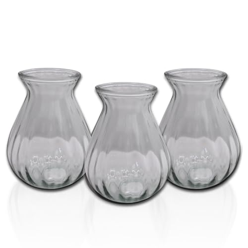 Hyazinthengläser | 3 Stück | Ideal für präparierte Hyazinthen | Vase für...