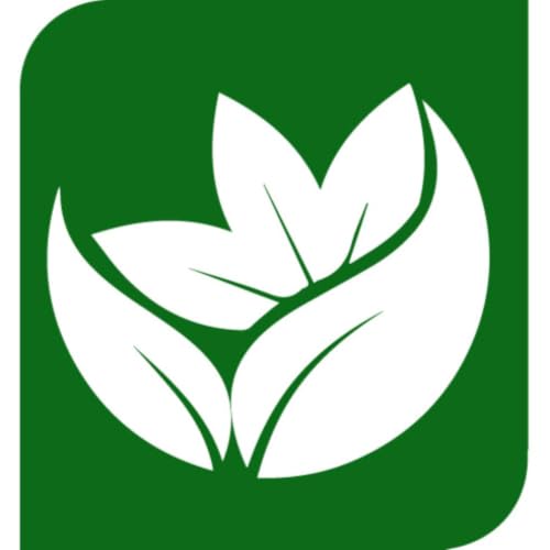 Couverture de Đ&ocirc;ng Y Diệu Ph&aacute;p