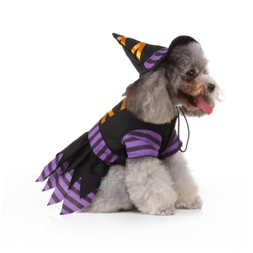 Disfraz de Bruja para Perros Talla L BCOATH miniatura 2