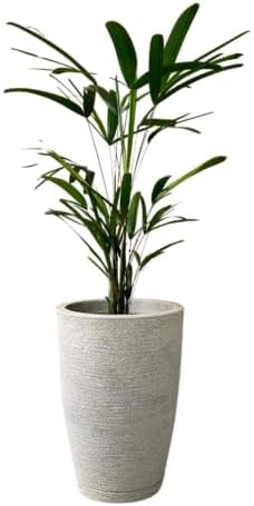 Vaso de Planta Cone Bojo com 44 cm de Altura (Cimento)