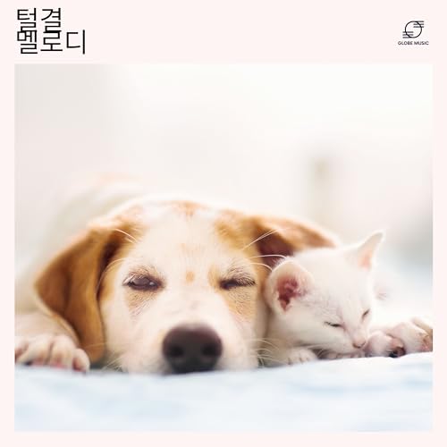 꼬리 흔들기