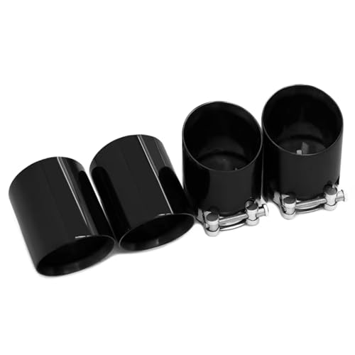 Embout silencieux pour BMW M2 M3 M4 en acier inoxydable