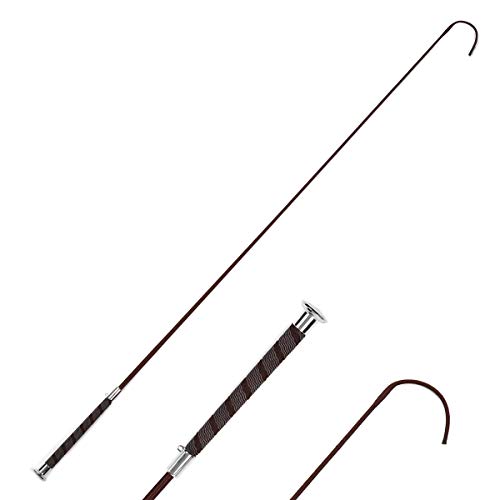 n  o[Obv uE^Vo[ npi n