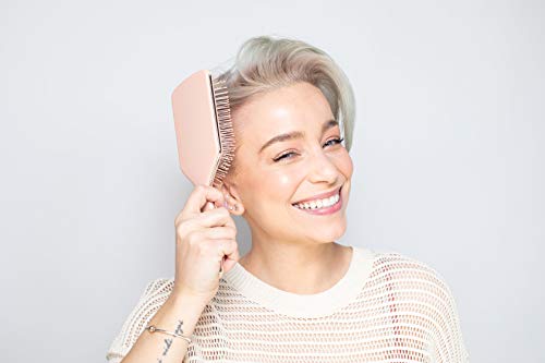 Framar Detangler Brush, Paddle Brush – Elegant Detangling Brush, No More Tangles Hair Brush – Hair Brushes For Women, Men And Children (Champagne) #TOP5