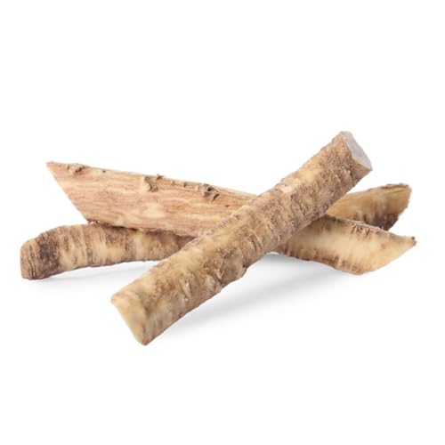 Plantas de rábano picante - semillas Semillas de rábano picante para el jardín semillas de bonsái plantas herbáceas plantas en macetas resistentes semillas de hierbas semillas de 50pcs
