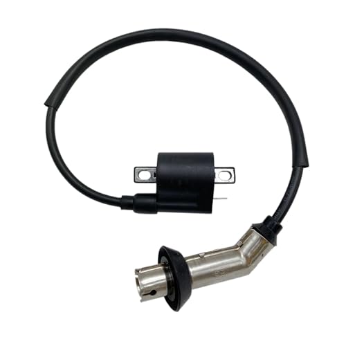Bobina de encendido para mejorar la respuesta off-road del Quad XY250STXE