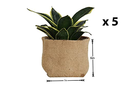 5-Pack-of-I-Gallon-Biodegradable-Grow-Pot-Nursery-Pots-Growing-Plants-Plastic-Free-Flowers-Vegetable-Planter-Potting-Bags-Jute-Fabric-Planting-Smart-Design-Pots