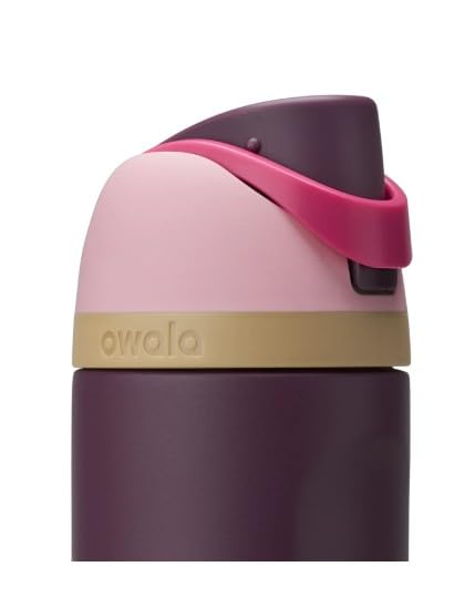 Image of Owala 24oz FreeSip Stainless Steel Water Bottle - Wild Heart (Wild Heart)
