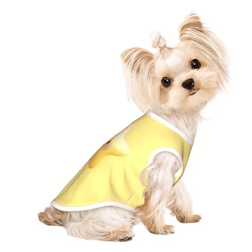 Image of Personalized Dog Shirt, Custom Dog Clothes for Small Dogs, Customized Chihuahua Clothes, Custom Shirts for Dogs, Chihuahua Accessories, Puppy Essentials Girl, Puppy Gift Birthday Party