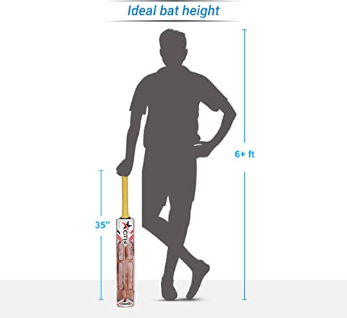 Image of Full Size 33.5 Inch Single Blade Cricket Scoop Burn Design Poplar Willow Bat Set Balance Best for Soft Tennis and Rubber Ball Play Bats for Boys of 12-14 Years (Brun Scoop-01)