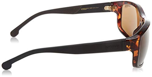 Carrera CARRERA 8038/S Dark Havana/Gold 61/15/130 men Sunglasses3