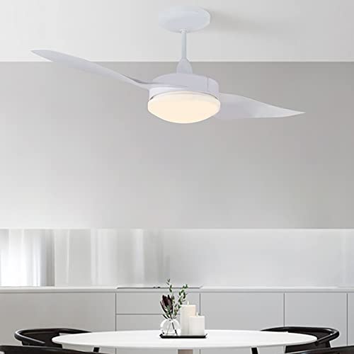 Ventilateur de plafond avec lumières LED télécommande plafonnier 44 pouces silencieux