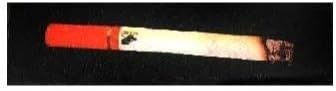 ROOFIES Skateboard Griptape Cigarette Graphic