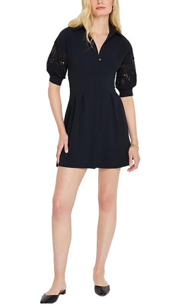 Amazon.com: Club Monaco Women's Embroidered Balloon Sleeve Dress, Black, 14  : Clothing, Shoes & Jewelry