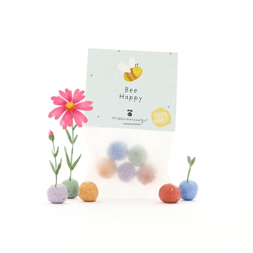 Nachhaltiger Glücksbringer: 5 bunte Blumenmurmeln | Farbenfrohe Seedbombs mit Wildblumensaatgut | Positives Geschenk, Geburtstage & Aufmunterung | 100% ökologisch und mind. 2 Jahre haltbar
