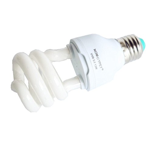 Backbayia Lampe De Calcium Vivarium Terrarium Infrarouge de Nuit Chauffage pour Reptiles et Amphibiens