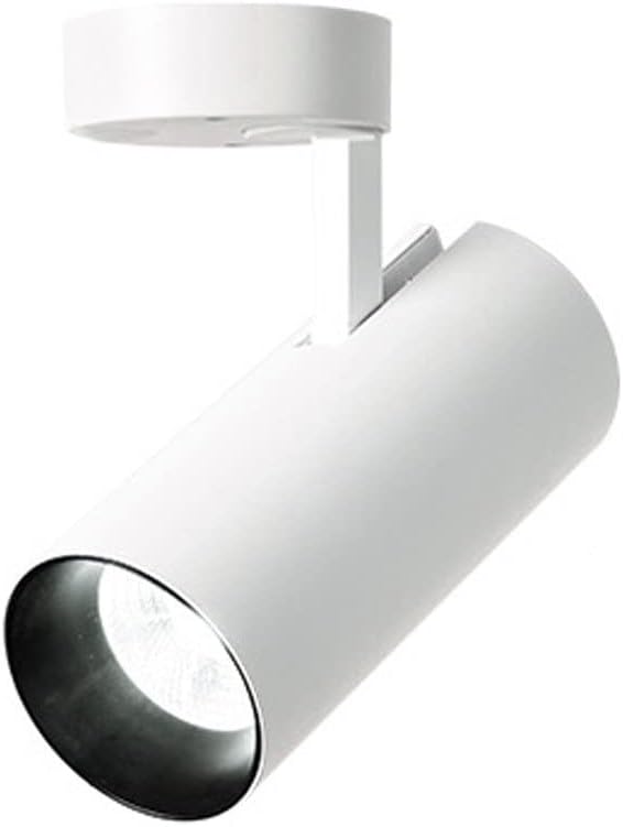 Plafonnier Minimaliste Moderne, Projecteur À Montage En Surface À Led 20 W, Lumières D'Art Pour Peintures, Éclairage Mural, Spot Pour Couloir Intérieur, Salon, Foyer/Blanc/6000K