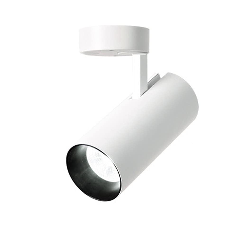 Mjsdjof 20W LED Ceiling Spotlight, Gallery Decorative Lighting Spot Light Fixture, Adjustable Ceiling Lamp, Surface Mount Ceiling Lights, Modern Minimalist Ceiling Downlight