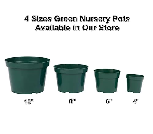 DAPERCI inches Nursery Pot Plant Grow Sturdy Flower pots in Bulk Price 20P Green - Thumbnail 5