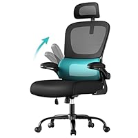 SONGMICS Bürostuhl, Schreibtischstuhl, ergonomischer Netzstuhl, mit doppellagigem Netzgewebe, atmungsaktiv, Adaptive Lendenstütze, verstellbare Kopfstütze, für Homeoffice, tintenschwarz OBN041B01