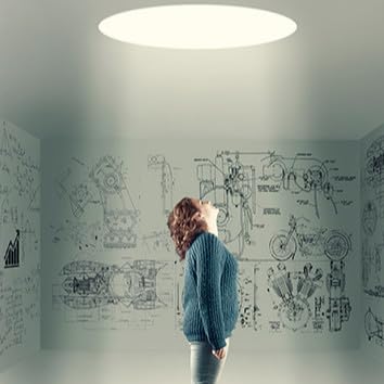 The Peaceful Revolution: Shining the Light Titelbild