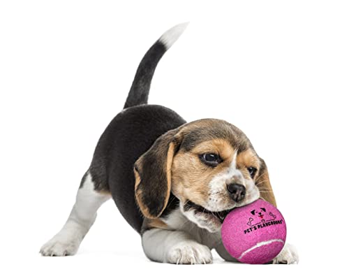 Pet's Playground Palline da tennis per cani | Confezione da 12 palline da tennis per cani rosa | Palla per cuccioli | Palline per cani di piccola taglia Palline da tennis grandi per cani