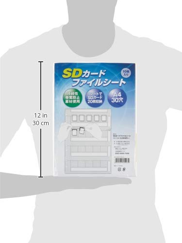Amazon.co.jp: FUKUSHIMA PRINTING INDUSTRIES 福島印刷 SDカード
