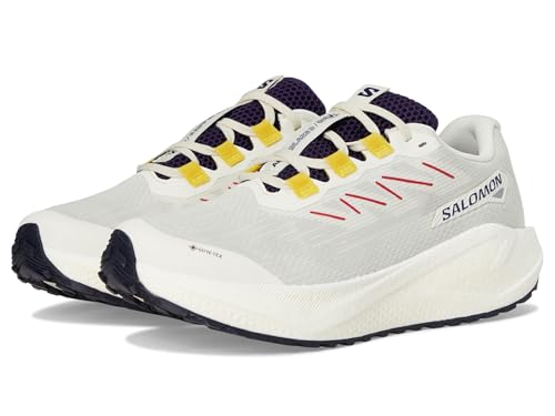 SALOMON(サロモン) AERO BLAZE 3 GRVL GTX W VICE/A AURA/LEMON 25.0