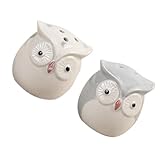 Eulen-küchendekor: das multifunktionale und praktische design macht das kochen bequemer und angenehmer. keramik-eulen-vorratsglas