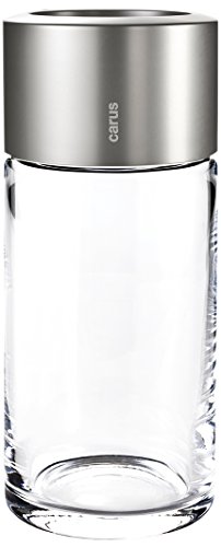 Preisvergleich Produktbild Carus Vase, Metall, Silber