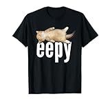 Funny Silly Sleepy Cat Memes