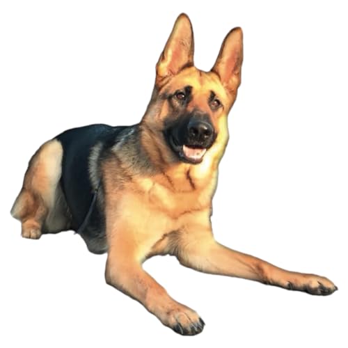 Pferd mit Kartoffel, Hypoallergenes Singleprotein Trockenfutter für Hunde, getreidefrei, für allergische und ernährungssensible Hunde, 11,5 kg