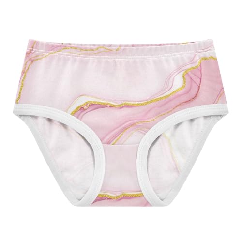 Abstract Marble Blush Pink Little Girl Panties Toddler Underwear Floral Cotton Fancy Briefs Kids Undies 2t