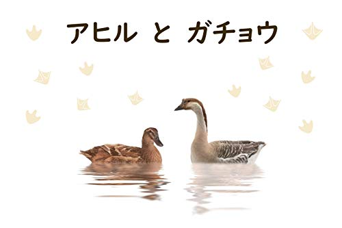 Amazon Co Jp 日本語絵本 アヒルとガチョウ Ebook 内山京子 Kindleストア