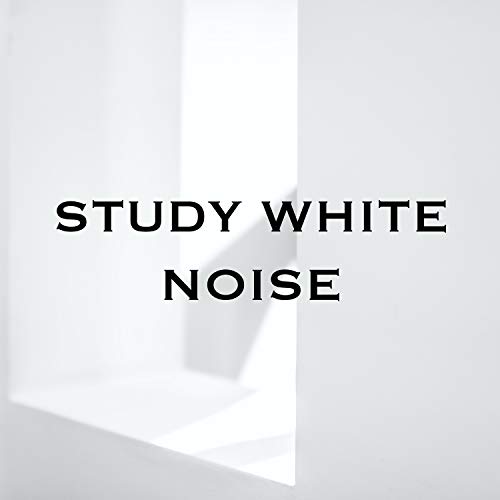 Study White Noise