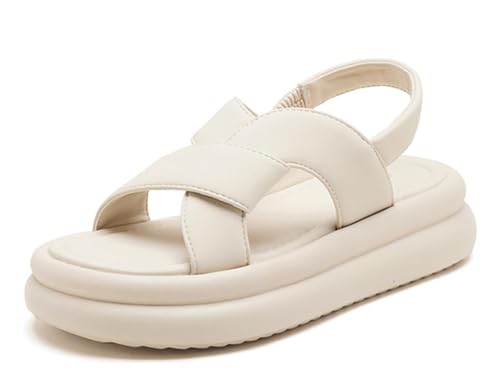 [MMTYRM] fB[X X|[cT_  ₷ K JWAV[Y r[`T_ O Xj[J[  AEghAx[W22.5