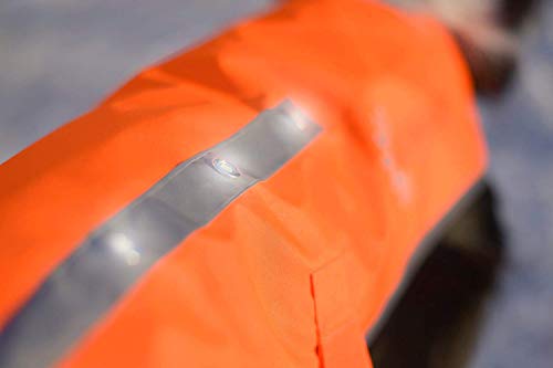 Illumiseen Led Dog Hunting Vest | Orange Safety Jacket With Reflective Strips & Usb Rechargeable Led Lights | Increase Dog’s Visibility When Walking, Running, Training Outdoors (X-Small, Orange) #TOP4
