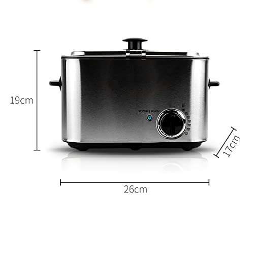 Friteuse compacte 1,2L pour frites maison croustillantes en duo