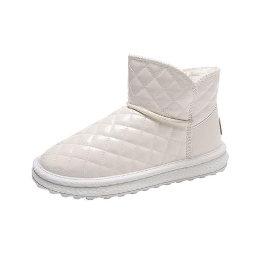 [YFHBSKS] [gu[c fB[X  Xm[u[c tt C {A  ~   r K h ۉ  ʊw ʋ JWA AEghA t@bV wlC l H~ 25.0 cm