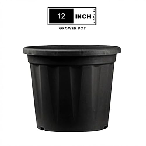Image of 12 Inch Heavy Duty Plastic Planter | Grower Pot /Garden Pot for Home & Garden (Black) (Pack of 2)