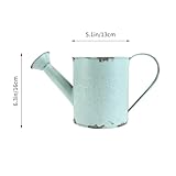 Zoom IMG-1 ciyodo secchio in latta vintage Zoom IMG-1 ciyodo secchio in latta vintage